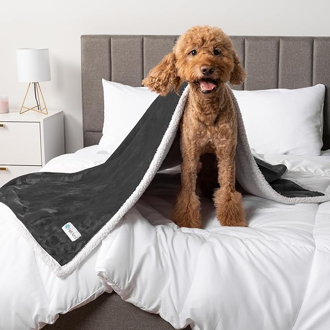PetAmi Waterproof Dog Blanket for Small Medium Dog Puppy Cat Throw for Couch Cover Leakproof Protection, Sherpa Fleece, Reversible Soft Washable 29x40 Charcoal Gray