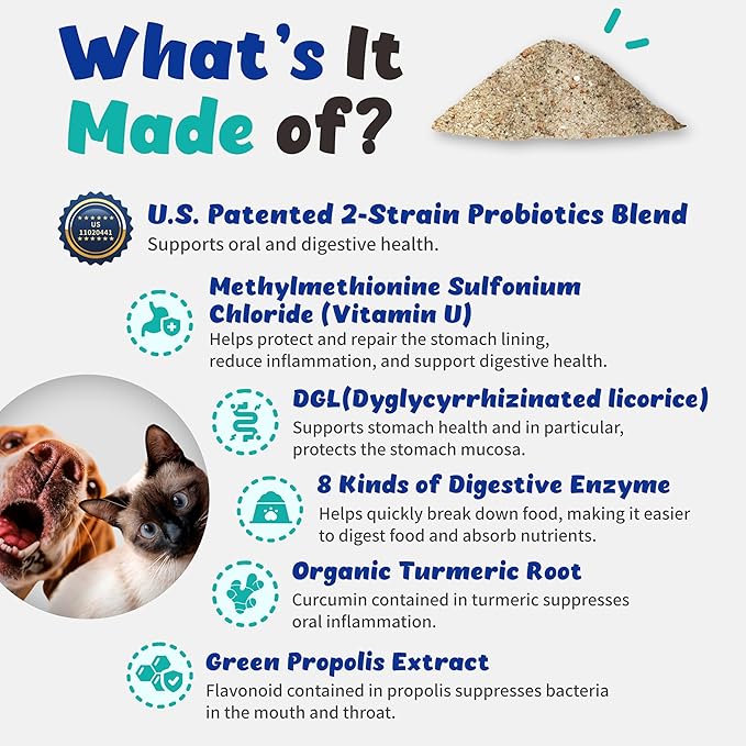 Dental-Stomach Probiotics - Patented 2-Strain Probiotics That Help Oral Health, Vitamin U, Mastic Gum, DGL, Propolis, Digestive Enzymes (120g)