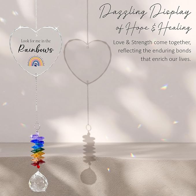 Glass Ornament Suncatcher - Memorial Gifts for Loss of Dog Cat Pet - Look for me in The Rainbows - Dogs Sympathy Gifts - Bereavement Keepsake - Mother's Day for Dog Mom Dad