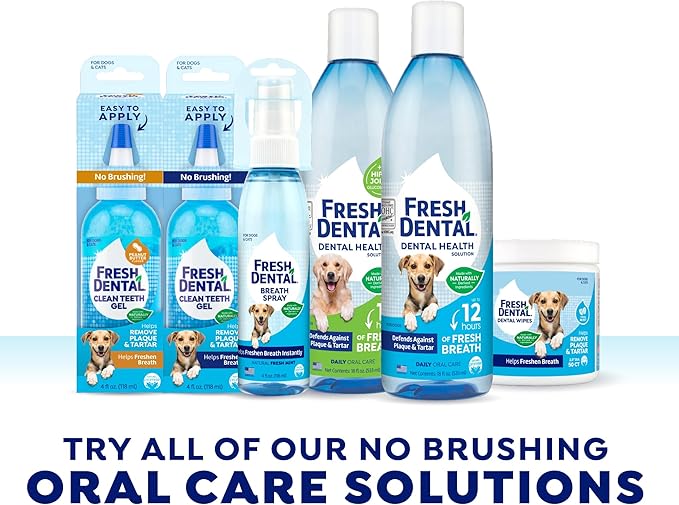 Fresh Dental Dog Toothpaste for Teeth Cleaning, Dog Breath Freshener, Easy Plaque & Tartar Remover Gel, No Toothbrush Needed, Effortless Dental Care, Minty Flavored Toothpaste, Made in USA, 4oz.