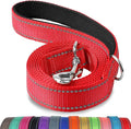 Joytale Dog Leash, 4 FT Double-Sided Reflective, Padded Handle Nylon Heavy Duty Leashes for Small Dogs Walking, Red