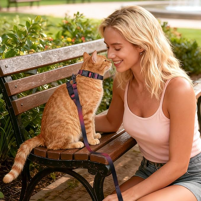Cat Harness and Leash Set, 3-in-1 Escape Proof Adjustable, Comfortable Soft Lightweight, Safe, Easy to Wear, Walking Travel Kitten Harness for Small Medium Cats （Red