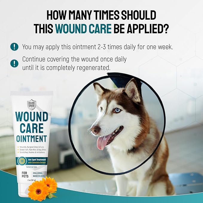 Dog Wound Care Ointment with Silver & Calendula – Aids with Scratches, Irritations, Bites – Feline & Canine Hot Spots Treatment in a Gel Form – Wound Antibiotic Ointment for Dogs & Cats in 2-oz Tube