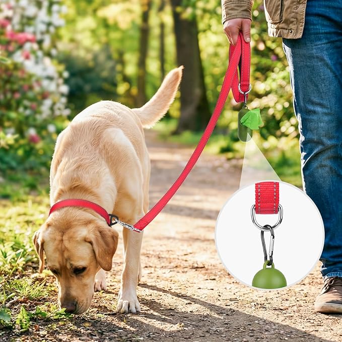 Joytale Dog Leash, 5 FT Double-Sided Reflective, Padded Handle Nylon Heavy Duty Leashes for Small Dogs Walking, Red