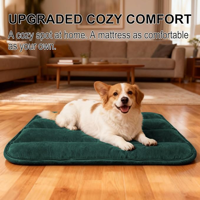 Dog Crate Pad, Ultra Soft & Anti-Slip Kennel Mat, Secure Fit for Metal Crates & Dog Cages, Washable Cozy Bed for Small Medium Large Dogs (Green, M(28"*16"*1.5"))