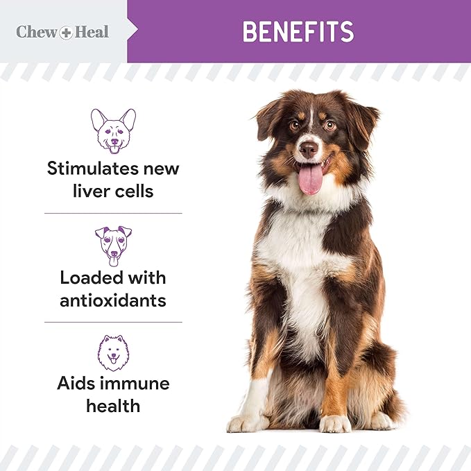 Milk Thistle for Dogs Liver Support - 2 oz Liquid Milk Thistle Supplement for Kidney and Liver Support - with Wild Alaskan Salmon Oil and Moringa Oil - Made in USA