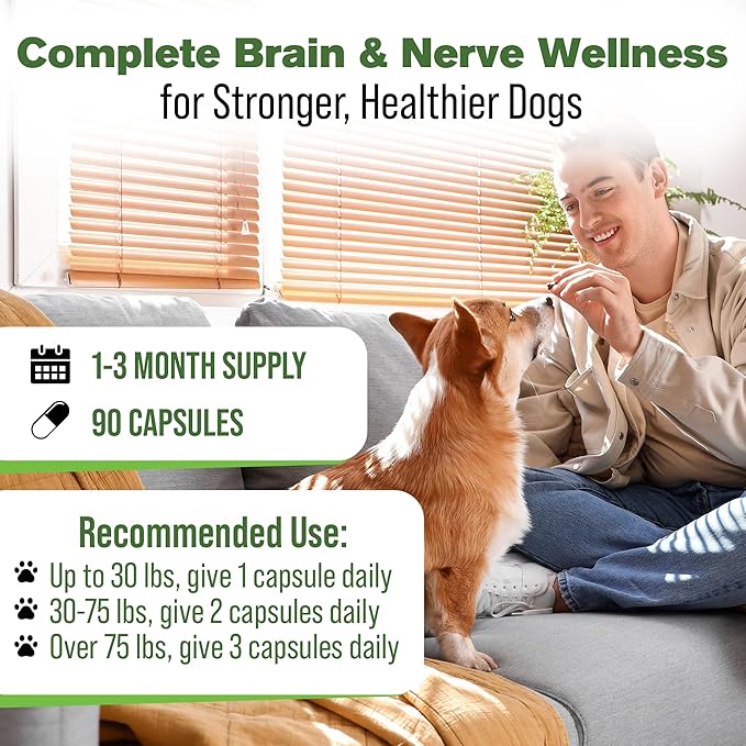 Silver Lining Herbs Brain Health & Dog Nerve Supplements - 11 Canine Herbal Supplement Helps Maintain Central Nervous System, Spinal Cord & Balanced Behavior - 90 Capsules