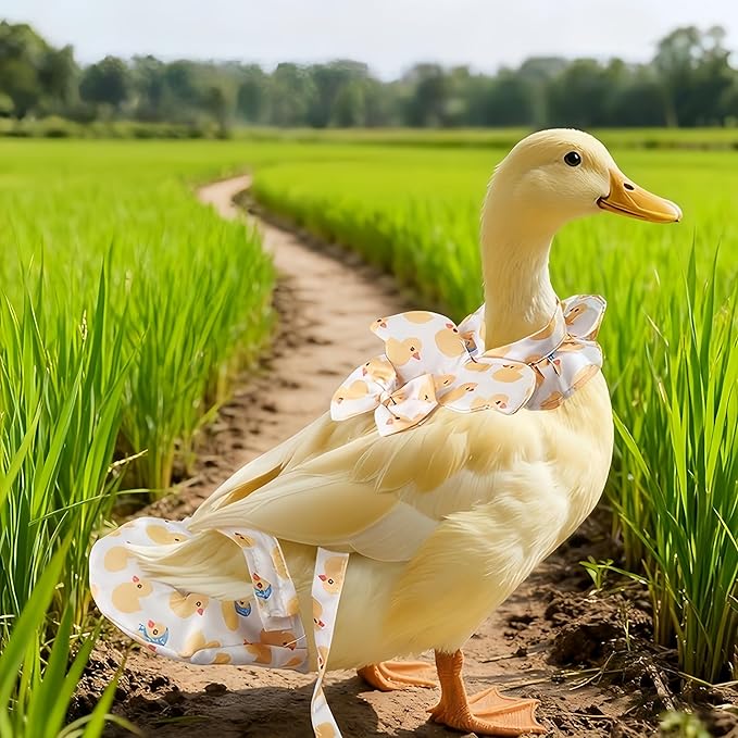 Chicken Diapers for Hens, Roosters, Diapers for Ducks with Walking Leash, Reusable Pet Duck Diapers Chick Clothes Waterproof Poultry Nappies for Geese Pet Ducks Chicken-Yellow Duck, L