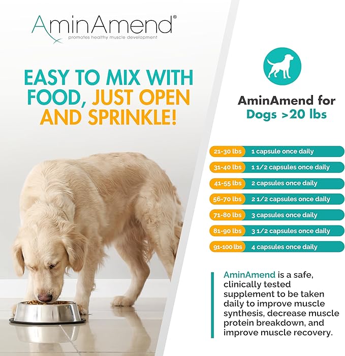 Muscle Support Dog Supplements for Large Breed (21lbs+) with CaHMB & Vitamin D3 – Supports Strength, Mobility & Daily Activity for All Ages & Senior Dog – (30 Capsules)
