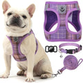 EXPAWLORER Classic Plaid Puppy Harness - Small Dog Harness and Leash Set - Dog Collar and Leash Set with AirTag Holder, Soft Padded Step in Dog Vest Harness No Pull Reflective for Outdoor, Purple XXS