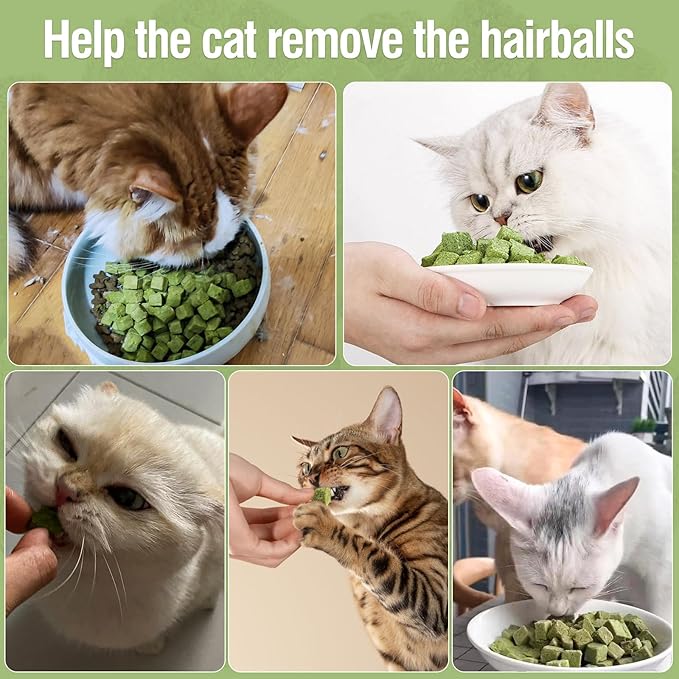 60g/2.13oz Cat Grass Teething Toy Hairballs,Chew Treats for Cats,Edible Cat Chew Toys,Natural for Cats,Teeth Cleaning and Hairball Removal (60g)