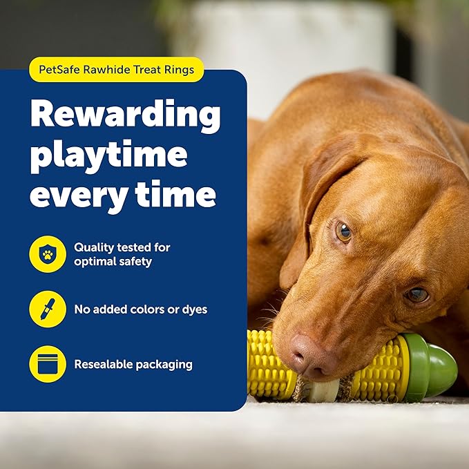 PetSafe Busy Buddy Natural Rawhide Rings - Long-Lasting Chew Refills - Quality Ingredients - Peanut Butter & Original Rawhide Flavored Treat Rings - Size C - 24-Pack