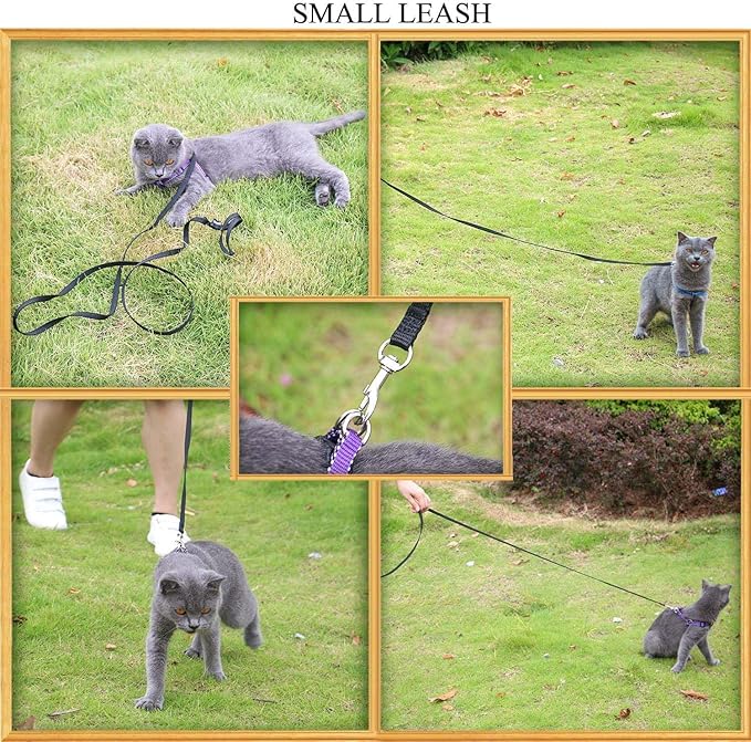 AMAGOOD 6 FT Cat Leashes, Strong Traditional Style Leash with Easy to Use Collar Hook,Cat Lead Great for Cats (Black(Pack of 1),3/8" x 6 Feet)