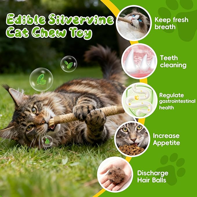 Silvervine Sticks for Cats & Cat Chew Rope Toy with Refillable Natural Catnip Bag for Teeth Cleaning, Interactive Cat Catnip Toys for Indoor Cats, Kitten Teething Toys for All Breeds (4Pcs)