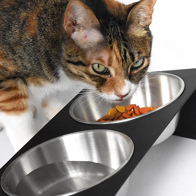 Elevated Pet Bowl, for Cats and Small Dogs