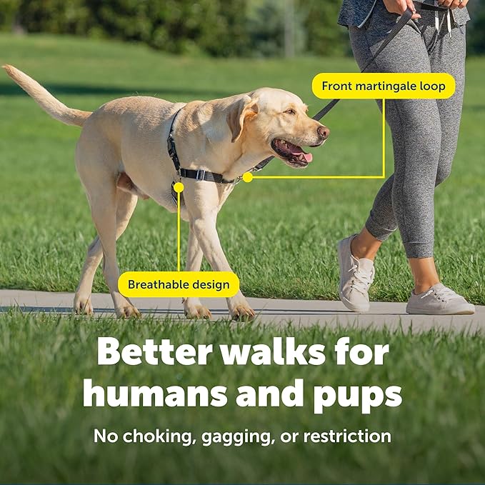 PetSafe Easy Walk Harness for Dogs - Pull-Free Walks - Patented Martingale Loop Design - Front Chest Leash Attachment - Comfort Straps - Breathable Harness Design - Large, Apple Green/Gray
