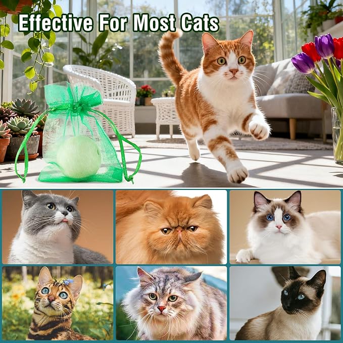 Cat Repellent Outdoor to Keep Cats Away Natural Deterrent White Ball Prevent Cats from Peeing,Guard Against Scratch and Chew 12 Pack