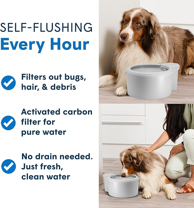 Always Full® 7” Cat Water Bowl and Bottle Pump Bundle, Self Refilling with Clean Filtered Water, App Enabled Smart Hydration Monitoring, Upgradeable System for Cats and Small Dogs