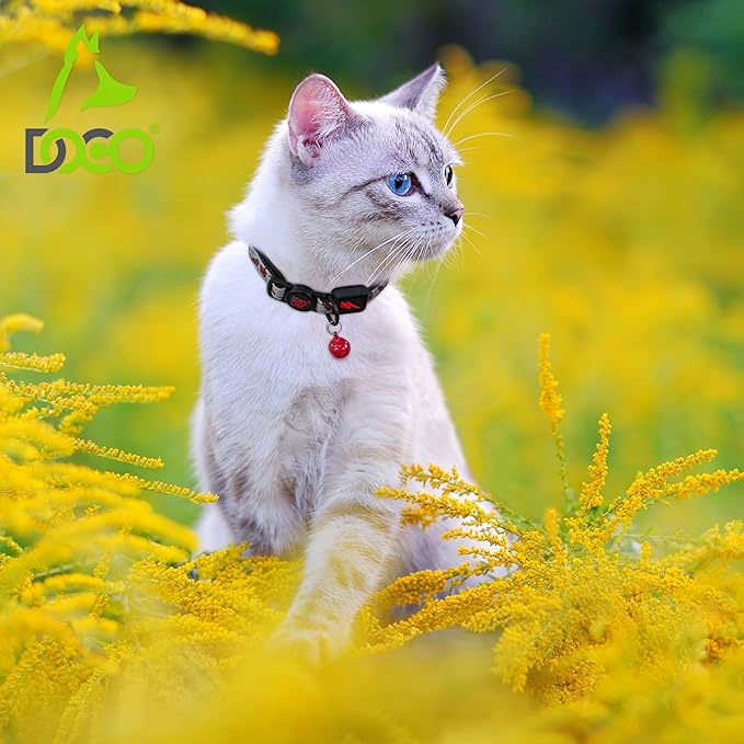 DOCO Cat Collar Breakaway Safety Buckle - Reflective Kitten Collar with Bell, Adjustable Nylon Strap for Kittens & Adult Cats - Orange, Neck Girth - 3/8" x 7.5-12", Weight Up to - 13lb