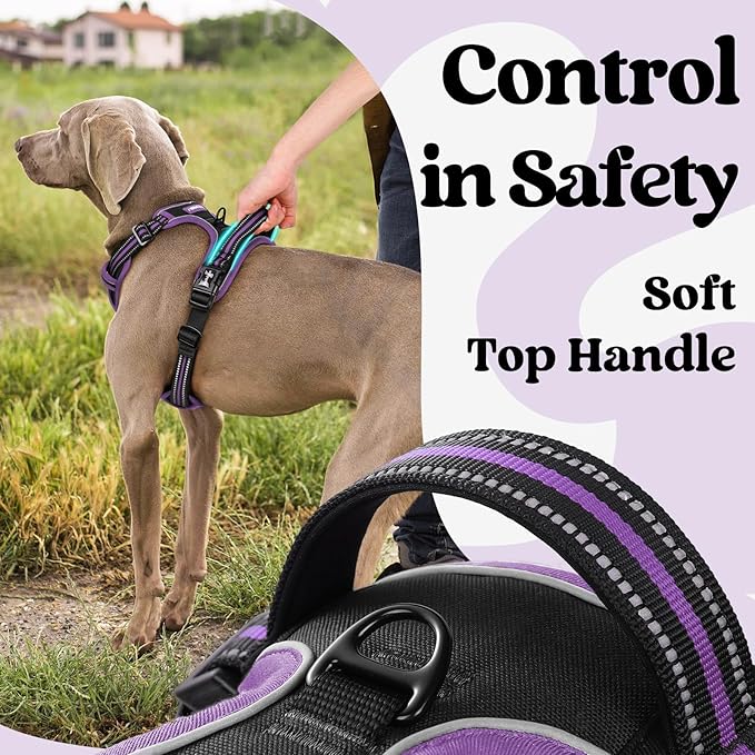 rabbitgoo Dog Harness for Large, No Pull Pet Harness with 3 Buckles, Adjustable Soft Padded Vest with Control Handle, Walking Reflective Pet Vest for Extra Large Dogs, Black & Purple, XL