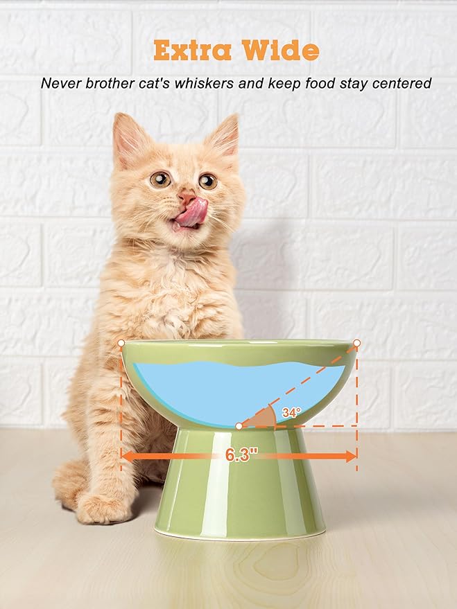 LoeJan Elevated Food and Water Bowls Set, Extra Wide and Raised Ceramic Feeder, Anti-Vomit Whisker-Free Pressure Cat Bowl for Kittens to Adult Cats, Small Dogs (Green, Water Bowl)