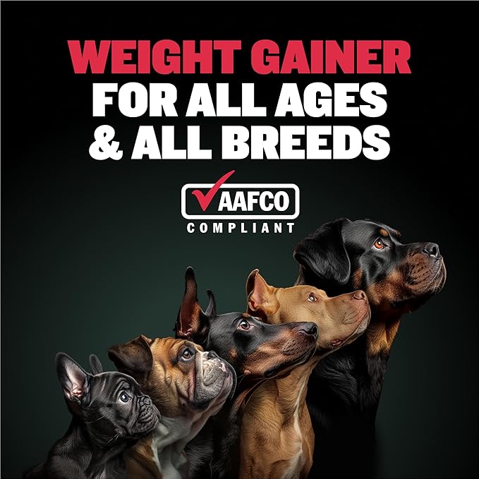 Bully Max Liquid Weight Gainer for Dogs – High Calorie Dog Supplement with Omega-3 & Whey Protein – 2-in-1 Multivitamin for Healthy Weight Gain – for Puppies & Adult Dogs – 16 oz