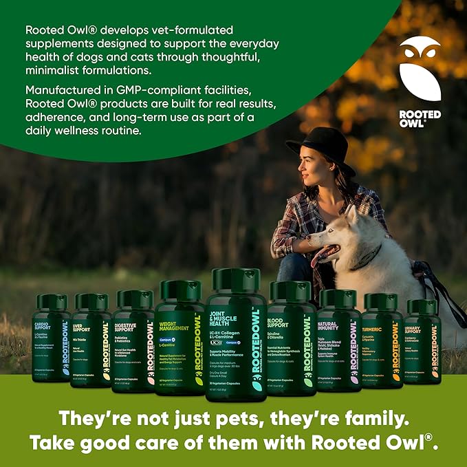 Rooted Owl Natural Immunity - Cat and Dog Immune Support - Triple Mushroom Supplement for Dogs & Cats with Reishi, Shiitake and Maitake Mushrooms - 60/ct Vegan Capsules