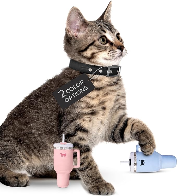 Kitty Cup Catnip Toy - Valentines & Birthday Cat Gift Toy with Catnip & Crinkle, Funny Gift for Girl Indoor Kitten (Chambray Blue)