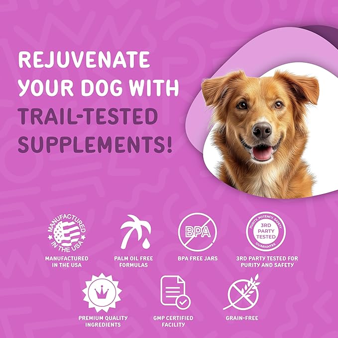 Waggedy Advanced Dog Probiotics Gut and Digestion Food Topper – Probiotic Powder with Digestive Enzymes & Papaya – Gentle Probiotics for Dogs 6+ Weeks – Supports Gut Balance, Comfort & Immune Health