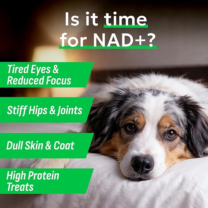 BARK&SPARK NAD+ for Dogs - Advanced Longevity Formula for Healthy Aging - Resveratrol, Quercetin & Nicotinamide - NMN Alternative for Senior Dog Vitality & Brain Health - Peanut Butter - 90 Ct