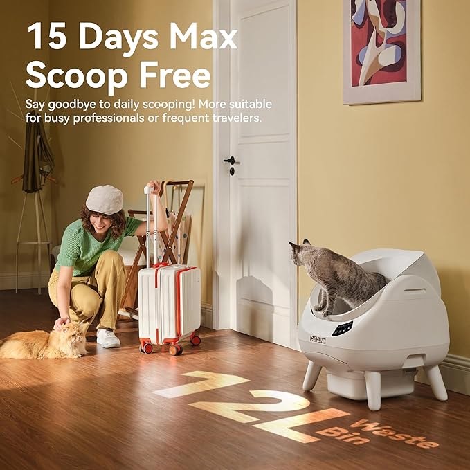 CATLINK Self Cleaning Litter Box, Open Top Automatic Cat Litter Box, Safe Anti-Pinch, AI Waste Analysis Health Monitor for Multi-Cat Recognition, 5G WiFi App Control, Odor Free, Open-X, White