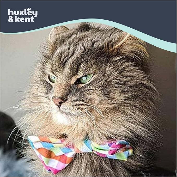 Huxley & Kent Bow Tie for Pets | Yellow/Orange Check (Extra-Large) | Easter Spring Bow Tie Collar Attachment | Fun Bow Ties for Dogs & Cats | Cute, Comfortable, and Durable | H&K Bow Tie