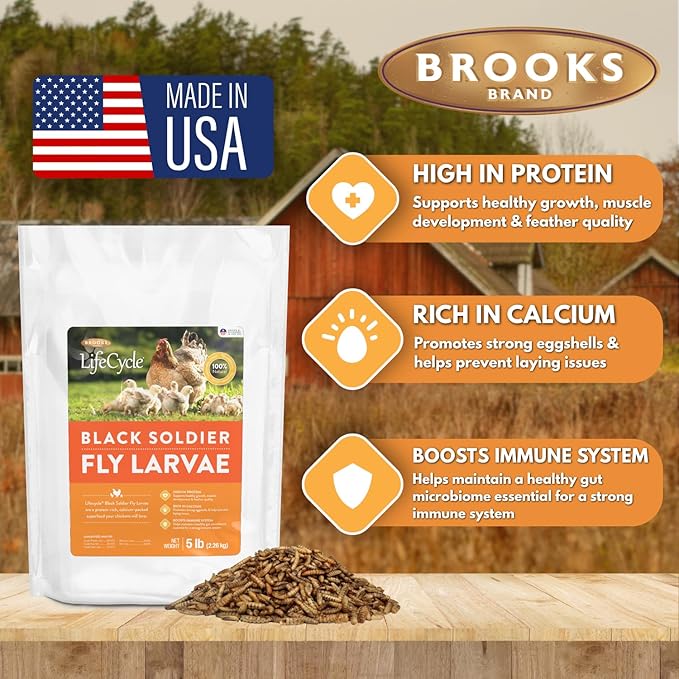 Brooks Brand Black Soldier Fly Larvae Chicken Treats, Mealworms Substitute, Grubs for Chickens, High Calcium for Laying Hens, Made in USA (5 lbs)