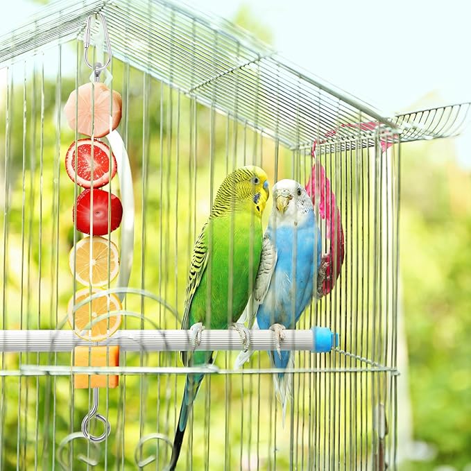 ElevateTech 3Pcs Bird Food Holder, Stainless Steel Small Animal Bird Food Treats Skewer Hanging Vegetable Fruit Feeder Feed Treating Tool Suitable Parrots Cockatoo Cockatiel (Silver)