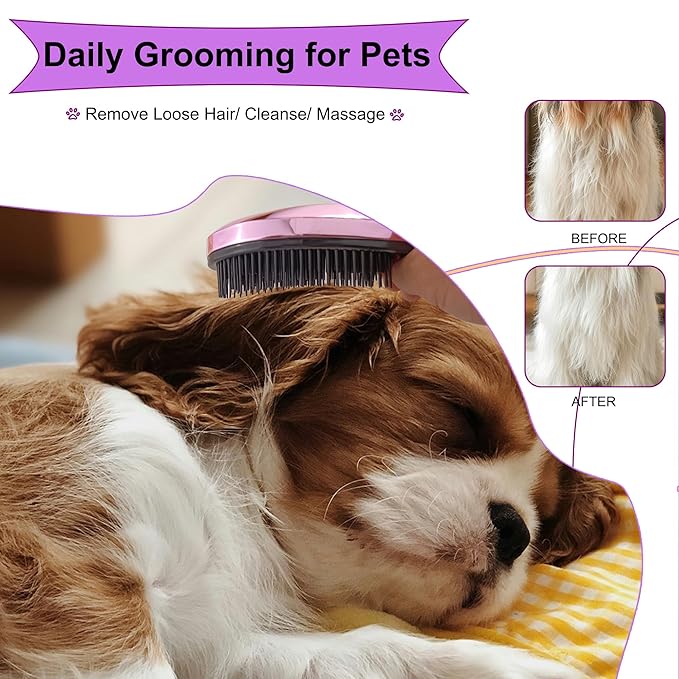 Gentle Grooming Puppy Brush with Gift Box ， Fit for Small Dog ， Yorkie, Shih Tzu, Maltipoo, Maltese and Pomeranian ，Toy Poodle Accessories, Soft Bristle (Electroplating Purple)