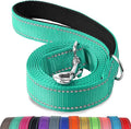 Joytale Dog Leash, 4 FT Double-Sided Reflective, Padded Handle Nylon Heavy Duty Leashes for Small Dogs Walking, Teal