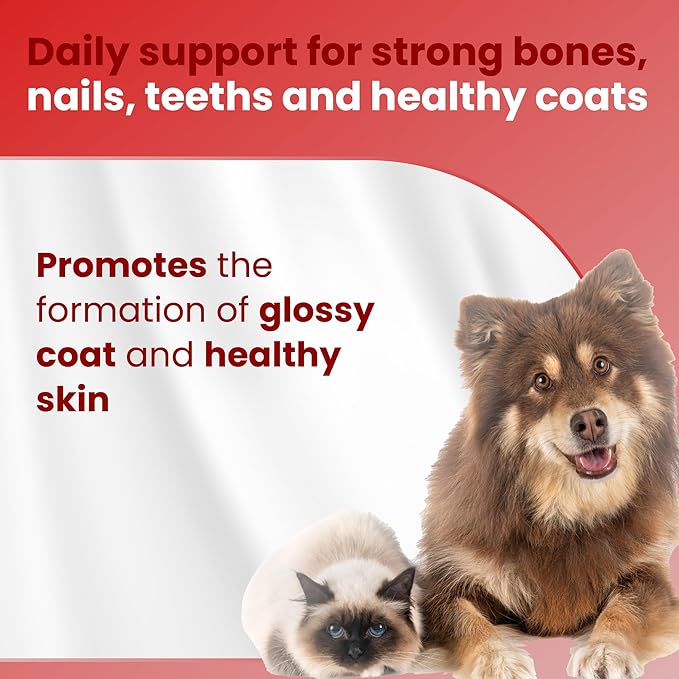 Bio PetActive D-Kaltabs Calcium Phosphorus Supplement for Dogs & Cats with Vitamin D3 - Supports Strong Bones, Teeth & Nails - Healthy Growth & Development - 84 Chewable Tablets