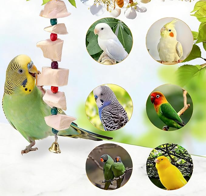 2 Pack Bird Toys, Parakeet Toys with Cuttlebone, Natural Cuttle Bone Bird Beak Grinding Stone & Parrot Chew Cuttlebone Cage Accessories with Bell for Budgie, Conure, Lovebird - 12 Pieces