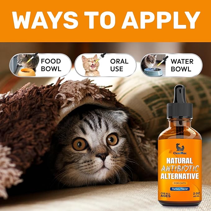 Antibiotics for Cats in Drops – Сat Respiratory Infection Treatment: Cold, Cough, and Allergies – Cat UTI Treatment with Turkey Flavor – May Support Hips & Joints – Proper for All Ages & Breeds – 2 Oz