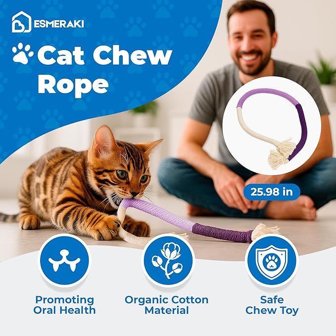 Kitty Kurlz Cat Scratcher Bundle for Kittens & Active Cats - Twisty Paws Reversible Infinity Kitty Curls Interactive Scratching Board, Stress-Relieving Cat Toy with Pet Hair Removal Glove & More