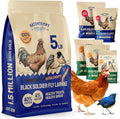 Hatortempt 5lb Dried Black Soldier Fly Larvae - More Calcium Than Mealworms for Chickens - High Protein Chicken Feed Treats for Laying Hens, Wild Birds and Duck Food