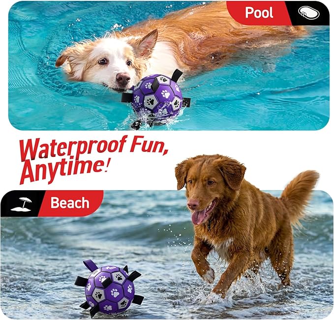 QDAN Soccer Ball for Dogs - Durable Large Dog Balls, Outdoor & Water Toy, Herding Ball, Puppy Birthday Gift (8 Inch)