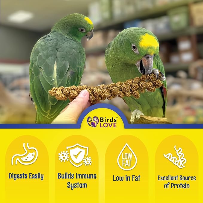 1lb Economy & Special Spray Millet for Birds – GMO-Free, No Stems (Only Edible Tops) – 100% Natural Sun-Dried Foraging Treat for Cockatiels, Lovebirds, Parakeets, Finches & Canaries