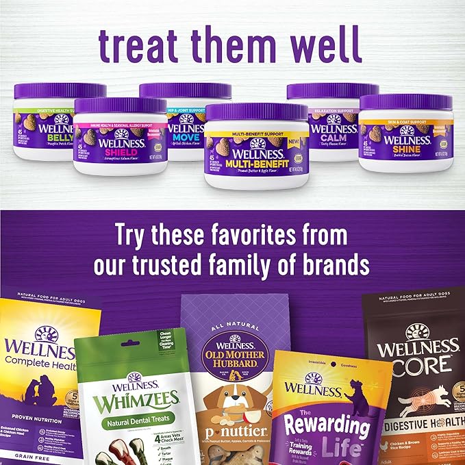 Wellness Peanut Butter & Apple Flavored Soft Chews Multi-Benefit Supplements for Dogs, 45 Count