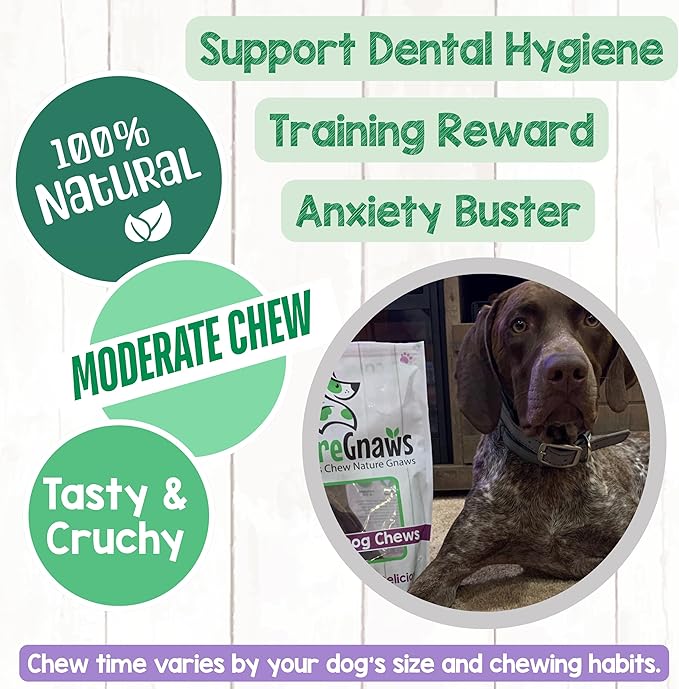 Nature Gnaws Beef Gullet Chews for Large Dogs 9-10" (20 Count) - Natural Beef Jerky Stick Dog Chew Treats - Rawhide Free