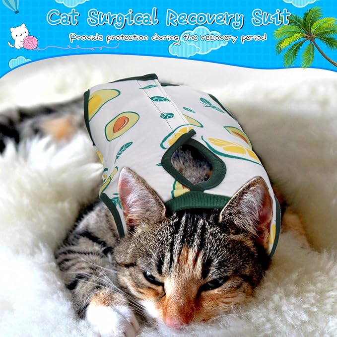 Nuanchu 3 Pieces Cat Recovery Suit Kitten Recovery Suit E-Collar Alternative for Cats and Dogs Abdominal Skin Anti Licking Pajama Clothes Sets(Medium,Watermelon Style,Colorful)