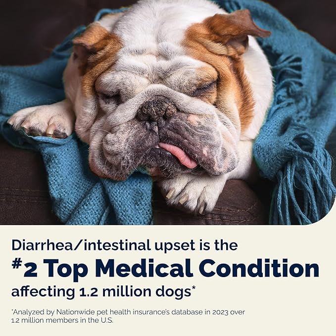 Vetnique Glandex Daily Probiotics for Dogs with Prebiotics to Support Gut Health, Diarrhea with Fiber and Digestive Enzymes, Dog Probiotic Chews or Powders (30ct Chews, Bacon Chews)