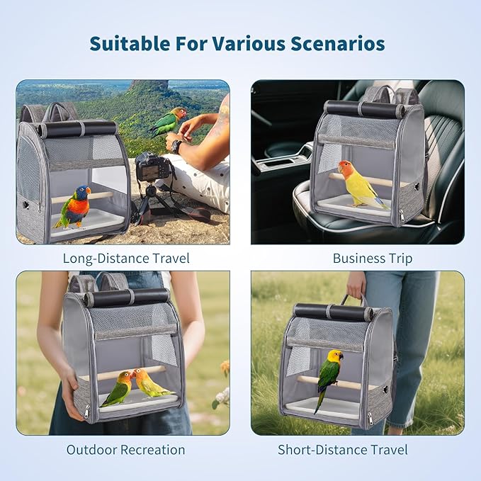 PETCUTE Bird Carrier Backpack,Breathable & Portable,Pet Travel Cage with Upgraded Tray and Standing Perches,Lightweight Foldable Birds Travel Cage for Hiking Camping,for Small Birds, Green Cheek