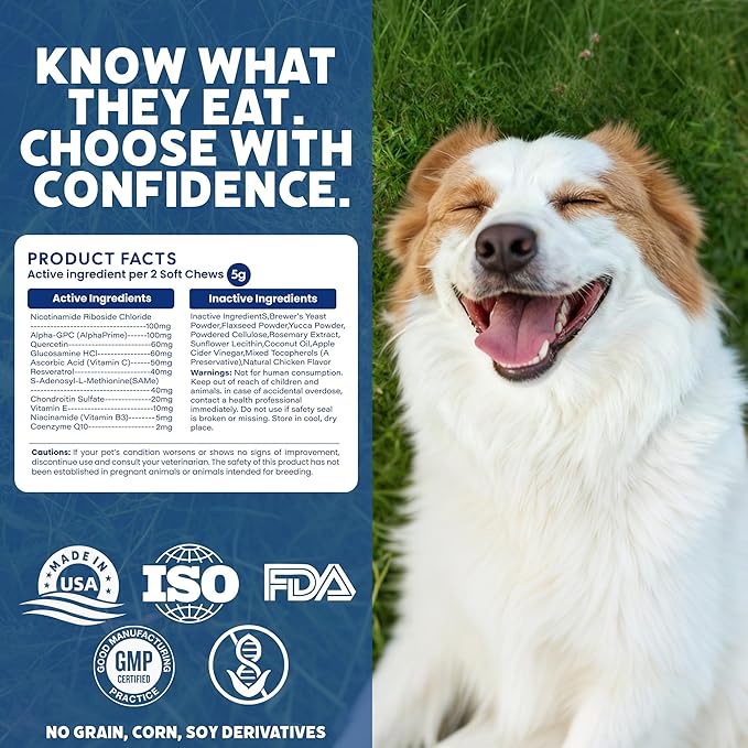NAD+ Precursor & Senior Dog Multivitamin Supplement, 90 NMN Supplements for Longevity, Anti-Aging & Energy, Dog Daily Support Vitamins Chews for Hip & Joints, Skin & Coat, Chicken