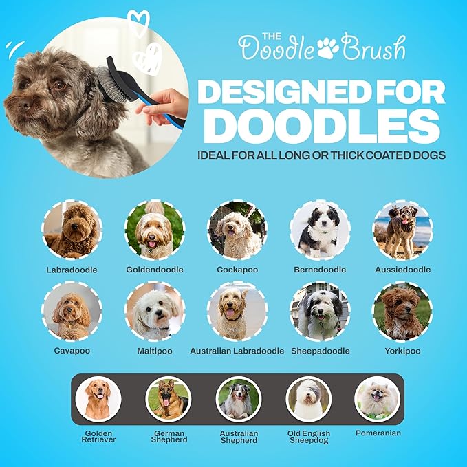 Slicker Brush for Dogs Detangler, Poodle Pin Dematting Dog Hair Brushes, Extra Long Pin Slicker for Goldendoodle, Cockapoo, Cavapoo, Tangle-Free Grooming Shiny Coat Pet Brushes